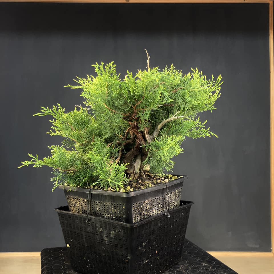 WHAT DID I MISS? WHY DOES NO ONE TELL US&nbsp;THIS?