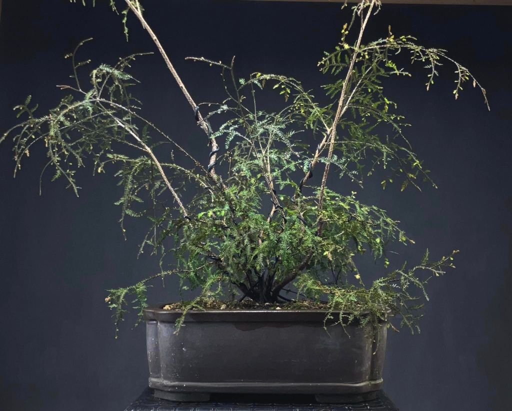 What it means to ‘grow’ for the next&nbsp;generation?