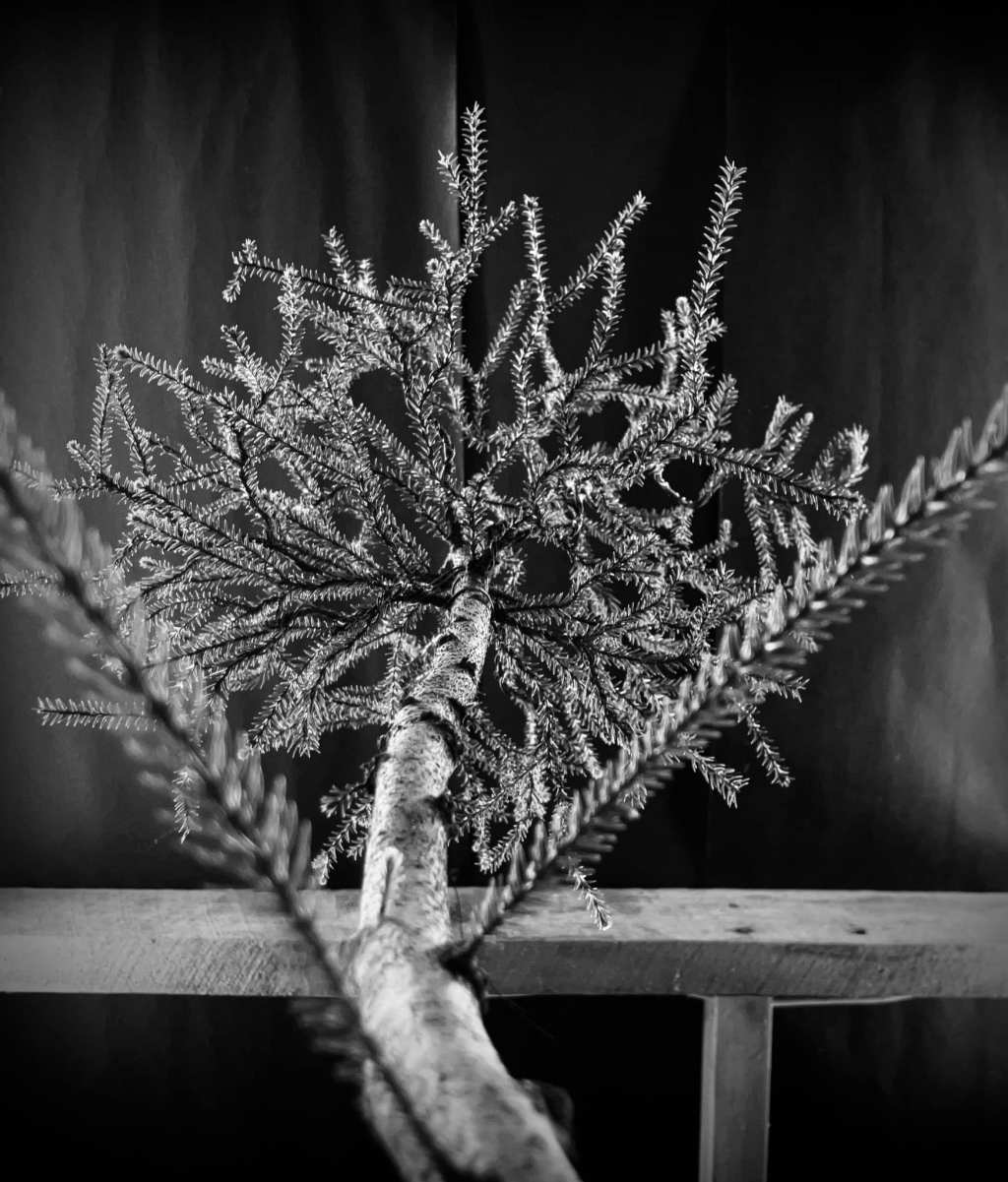 What’s under the&nbsp;hood?