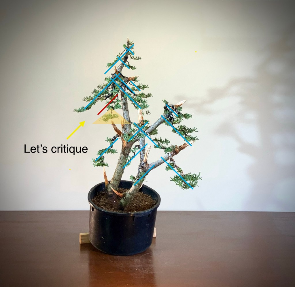 The importance of self&nbsp;critique.