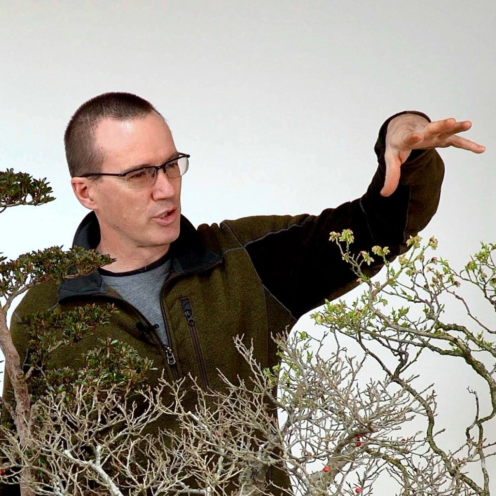 Guest Post: Michael Hagedorn (Crataegus&nbsp;bonsai)